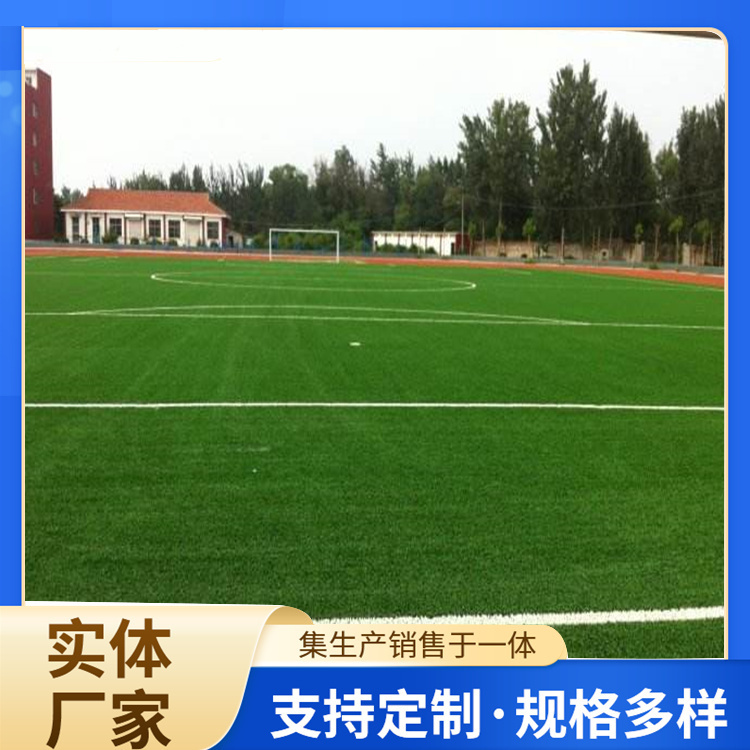 西宁市橡胶跑道人造草坪 - 厂家